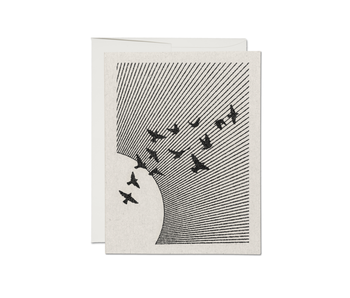 Flock everyday greeting card