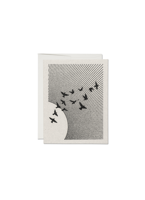 Flock everyday greeting card