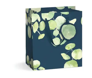 Pancake Plant Gift Bag - Medium