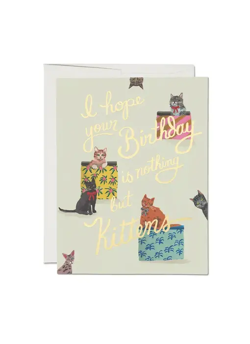 Nothing But Kittens birthday greeting card