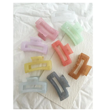 LoveLina Jelly Hair Clips - Betty Jelly Assorted