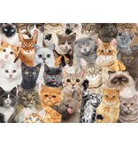 Peter Pauper Press All the Cats 500 Piece Jigsaw Puzzle