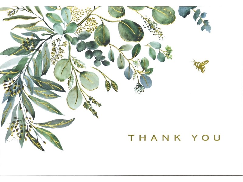 Peter Pauper Press Eucalyptus Thank You Notes