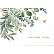 Eucalyptus Thank You Notes