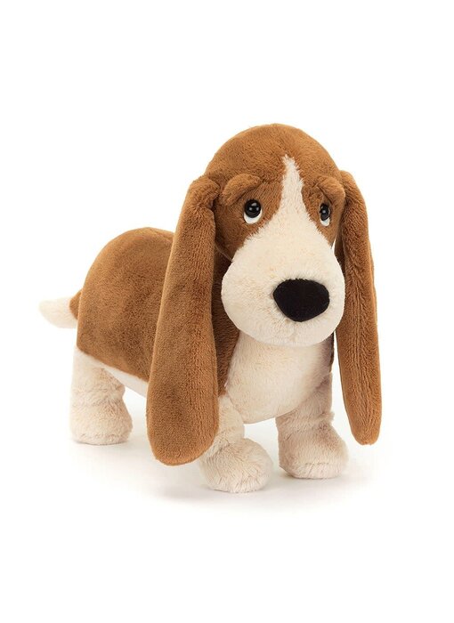 Randall Basset Hound