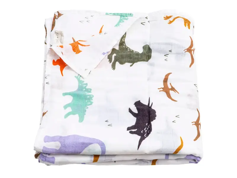 Ali + Oli Muslin Swaddle Blanket (Dinosaurs)