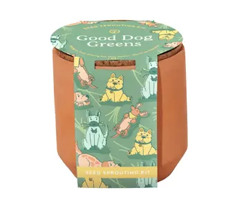 Tiny Terracotta Pet Grow Kits - Good Dog Greens