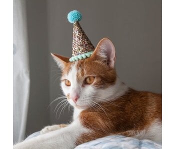 Pet Party Hats - Small