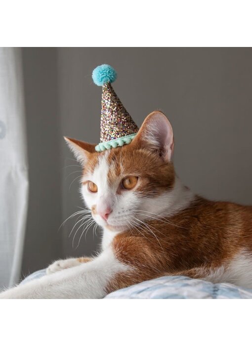 Pet Party Hats - Small