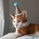 Pet Party Hats - Small