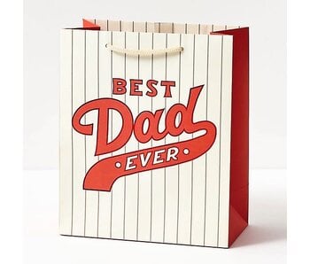 Best Dad Ever Baseball Gift Bag Medium