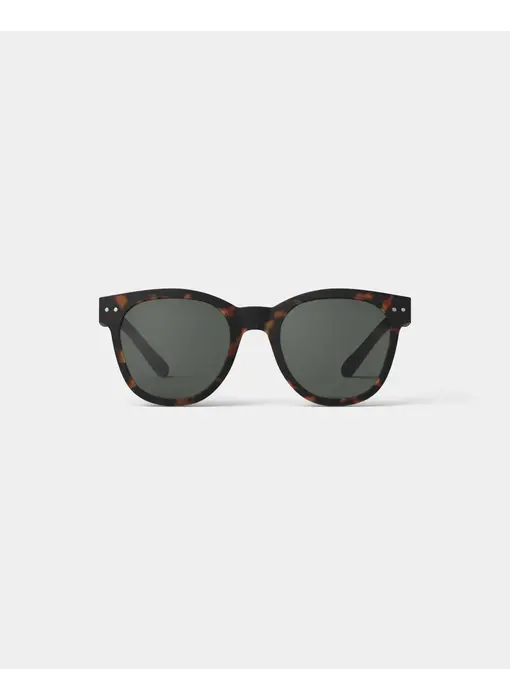 Sunglasses Style N - Tortoise