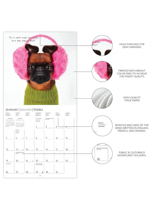 Pawparazzi 7 x 7 Wall Calendar