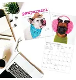 Graphique De France Pawparazzi 7 x 7 Wall Calendar