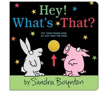 Hey! What's That? By Sandra Boynton