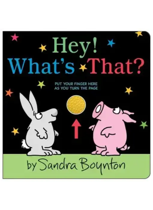 Hey! What's That? By Sandra Boynton