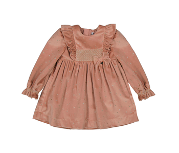 Sparkle rose velvet dress