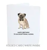 Paper Baristas Birthday Pug Dog