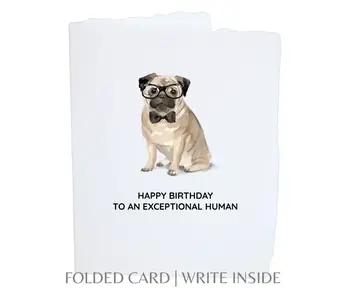 Birthday Pug Dog