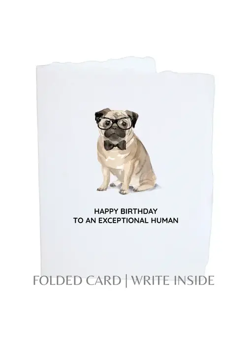 Birthday Pug Dog