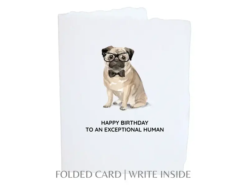 Paper Baristas Birthday Pug Dog