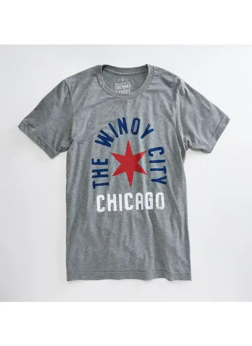 Chicago Arch Heather Gray Unisex T Shirt - SMALL