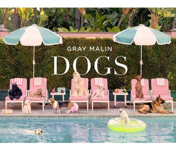 Gray Malin: Dogs