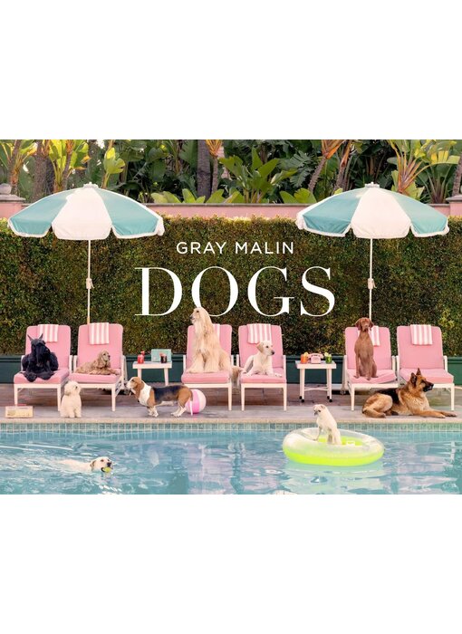 Gray Malin: Dogs