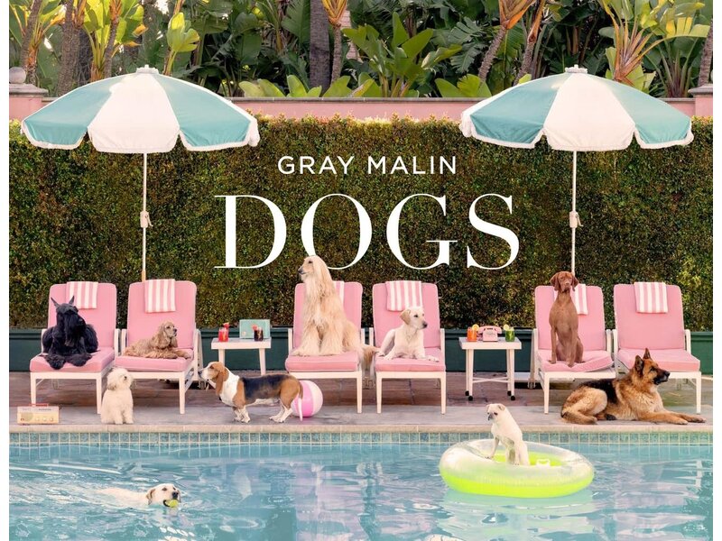 Abrams Gray Malin: Dogs