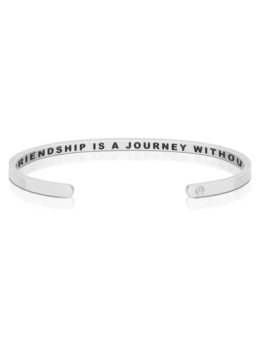 A True Friendship Is A Journey Without An End - Silver