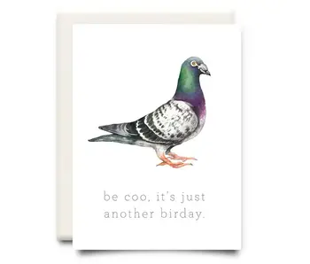 Be Coo! | Birthday Greeting Card