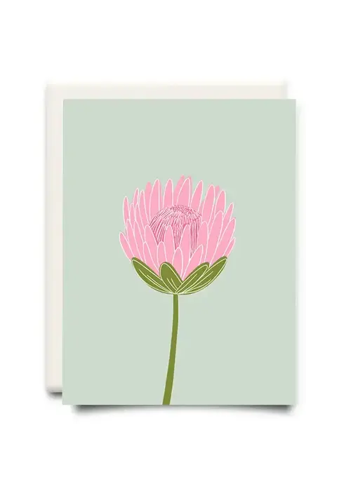 Protea | Floral Greeting Card