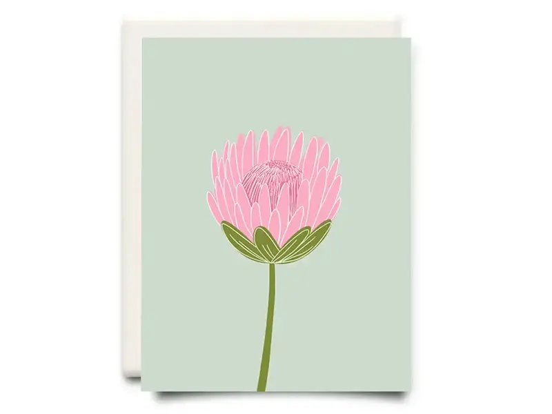 Inkwell Cards Protea | Floral Greeting Card
