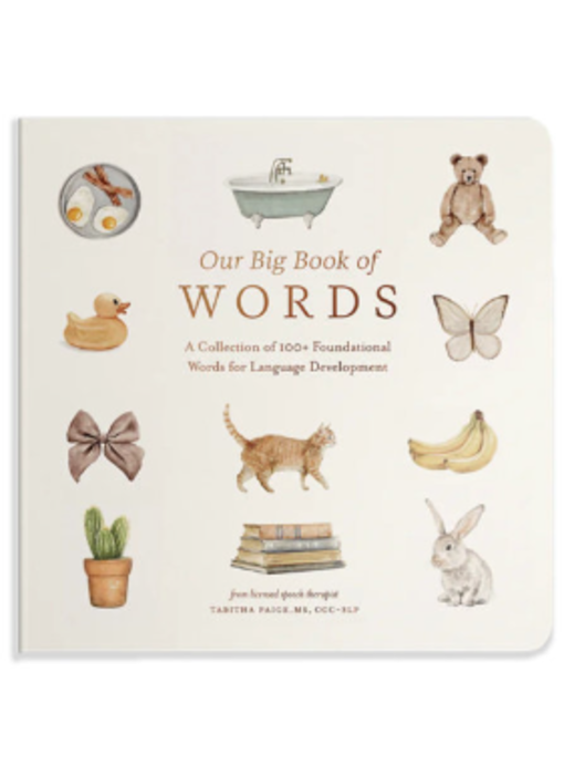 Our Big Book of First Words