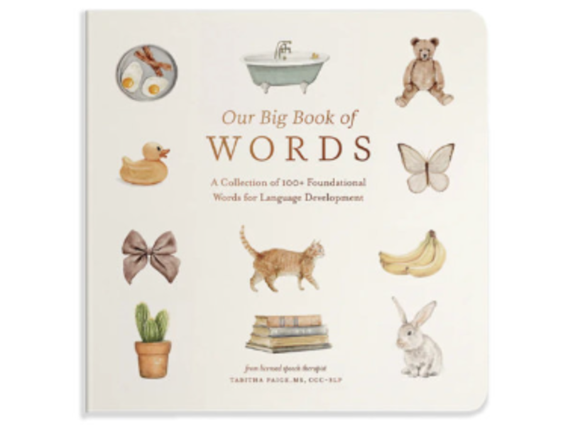 Paige Tate & Co Our Big Book of First Words