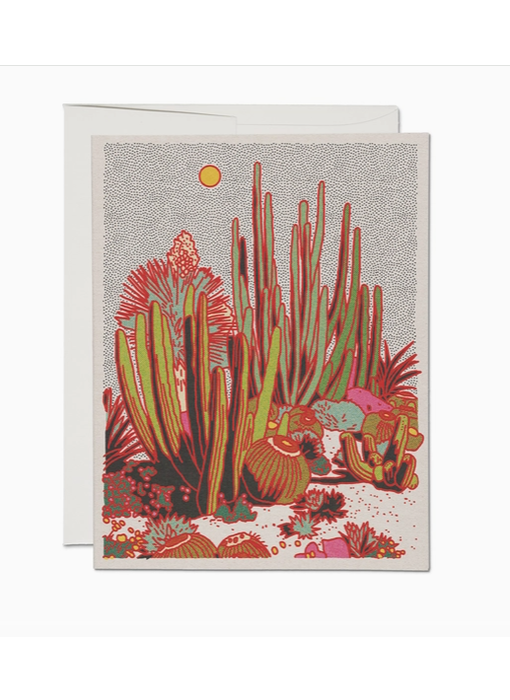 Cactus Scene Everyday Greeting Card