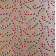 Candy Cane Glitter Wrap - Jumbo