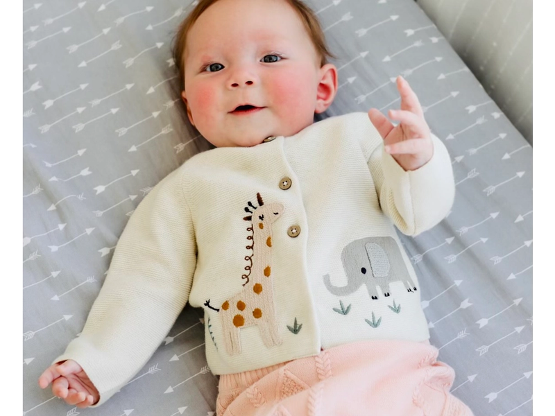 Viverano Organics Animal Safari Cardigan (Organic)