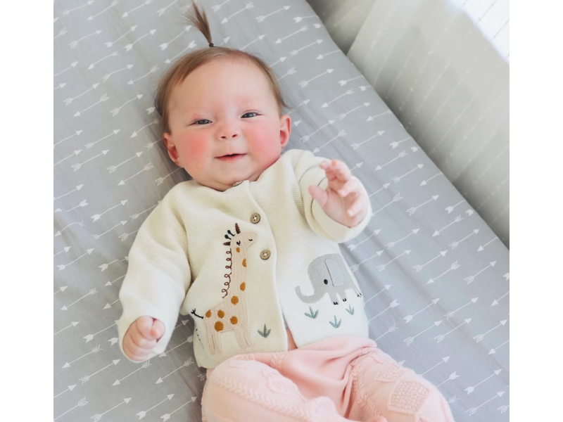 Viverano Organics Animal Safari Cardigan (Organic)