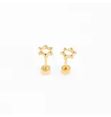 pip pop post Star of David earrings