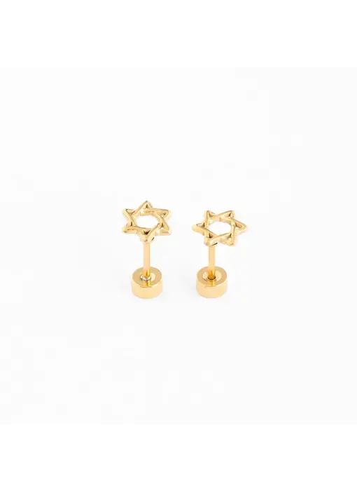 Star of David earrings