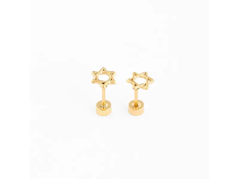 pip pop post Star of David earrings