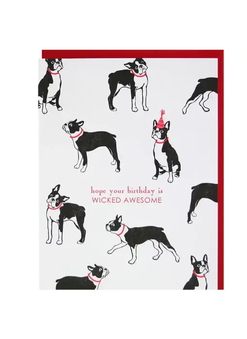 Boston Terrier Birthday Card