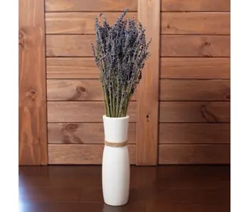 French Lavender Bundle
