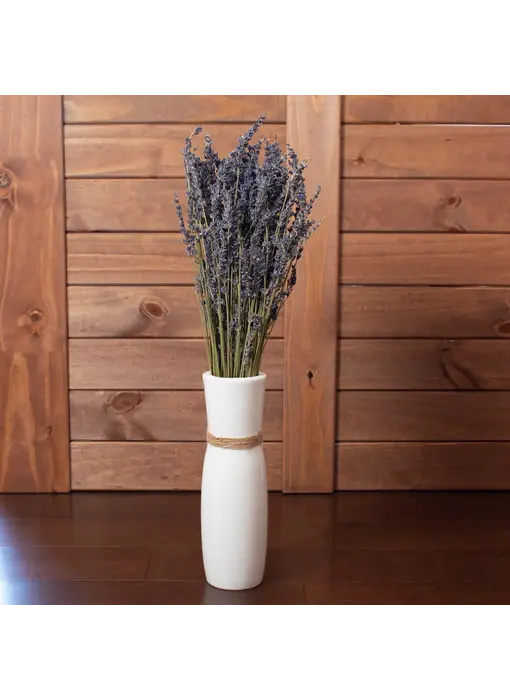 French Lavender Bundle