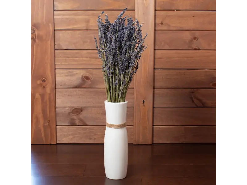 Andaluca French Lavender Bundle