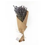Andaluca French Lavender Bundle