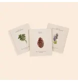 Paige Tate & Co Our Little Adventures Box Set