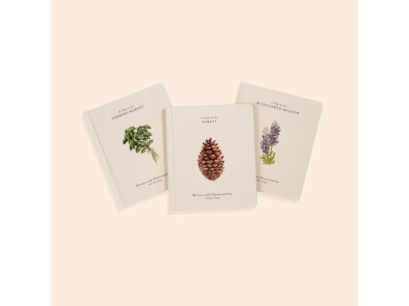 Paige Tate & Co Our Little Adventures Box Set