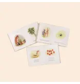 Paige Tate & Co Our Little Adventures Box Set